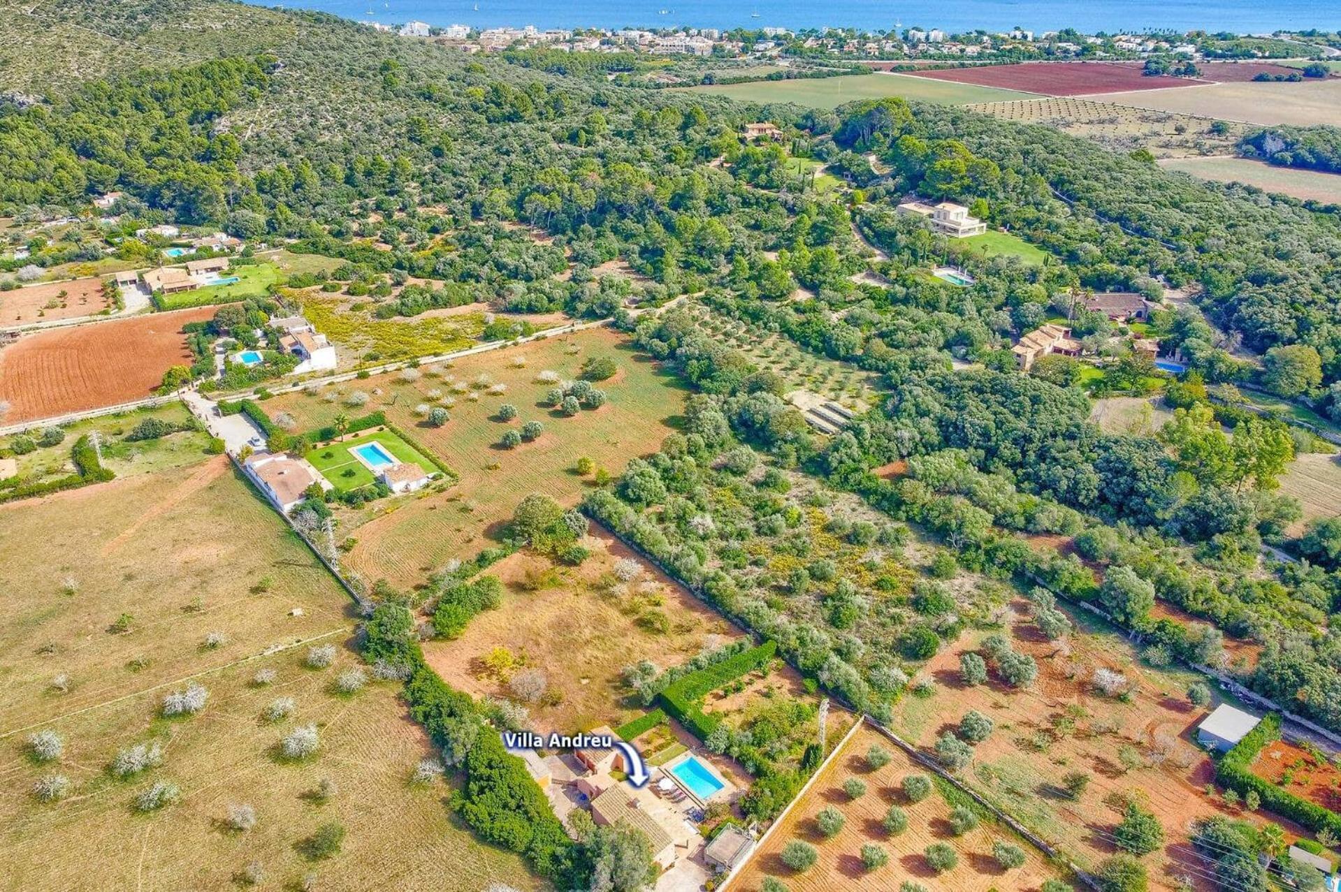 Andreu By * Port de Pollença